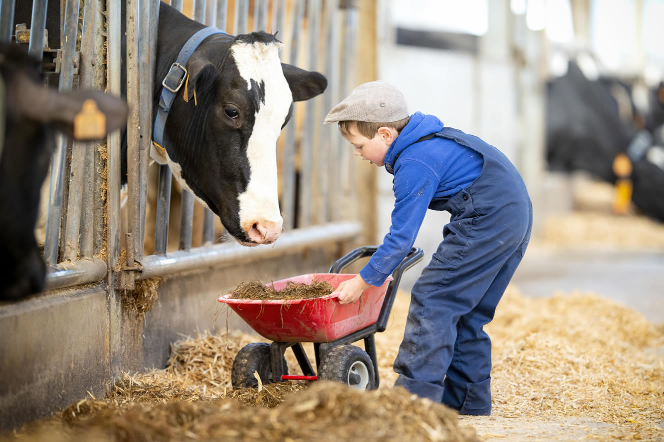 Meehelpen op de boerderij